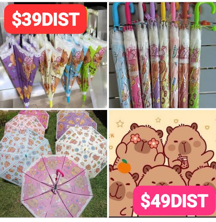 Imagen de WhatsApp 2025-09-10 a las 18.44.36_752f3d15